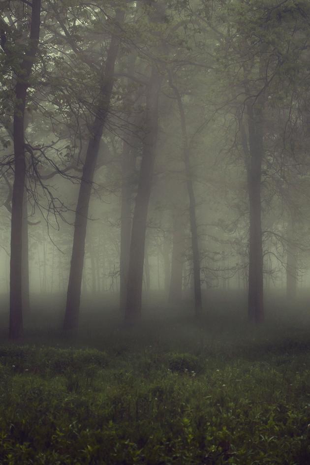 Haunted History