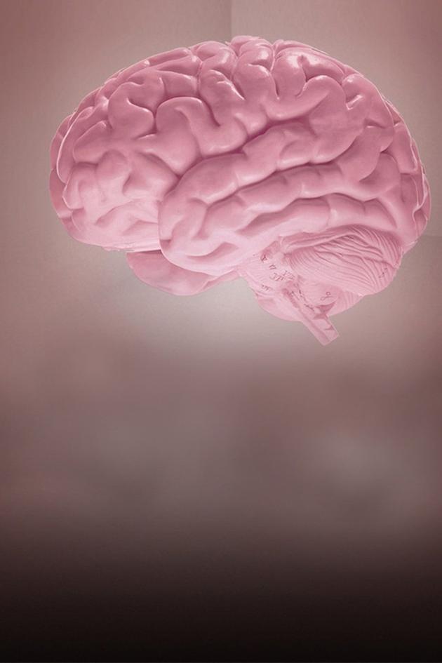 Your Bleeped Up Brain