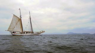 Tall Ships