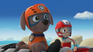 Pups Make a Splash; Pups Fall Festival