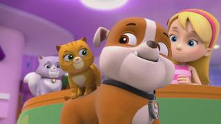 Pups and the Kitty-tastrophe; Pups Save a Train