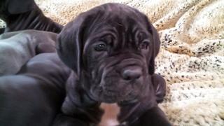 Too Cute!