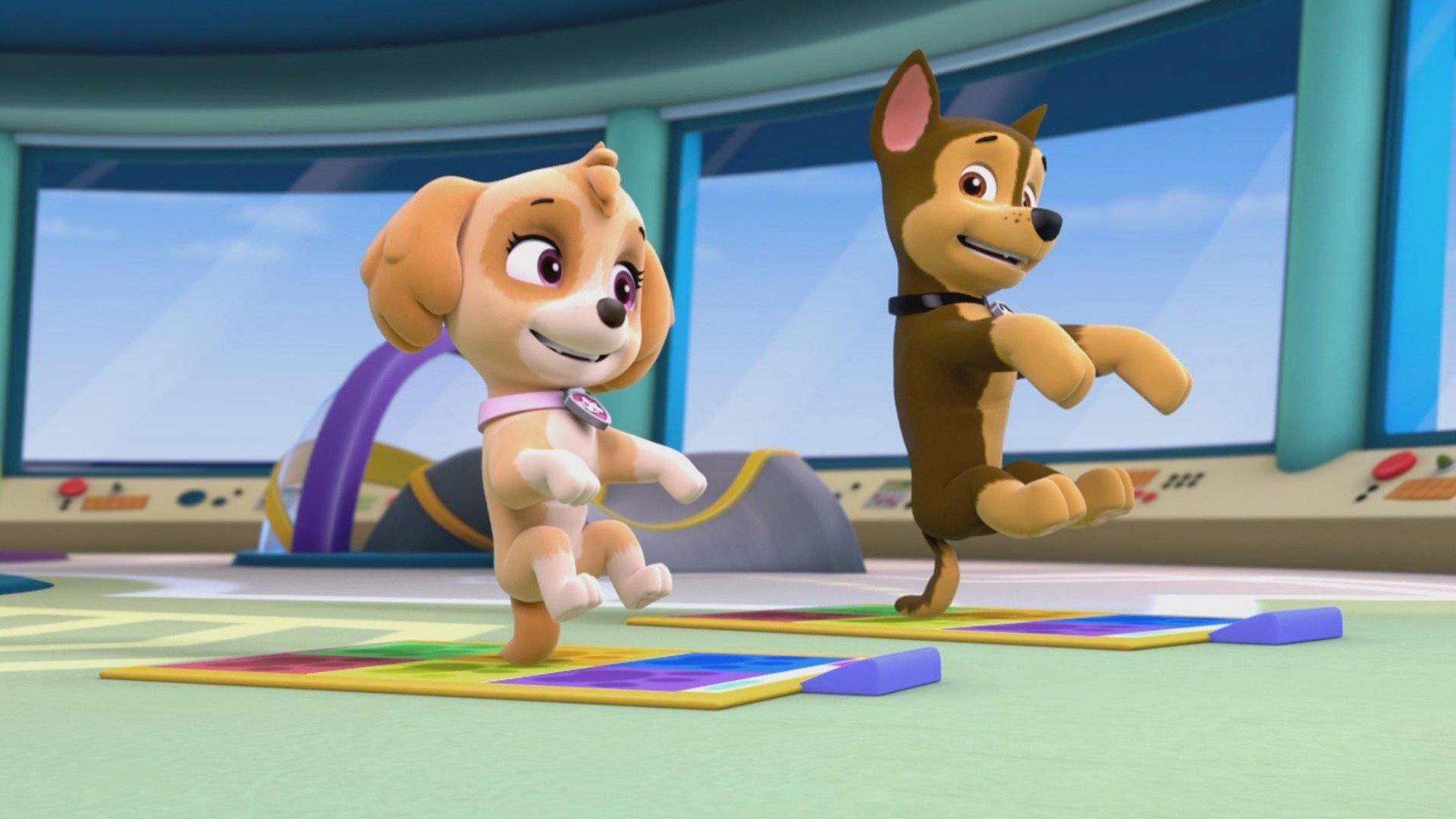 Paw Patrol Pup Pup Boogie Pups In A Fog