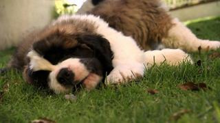 Too Cute!