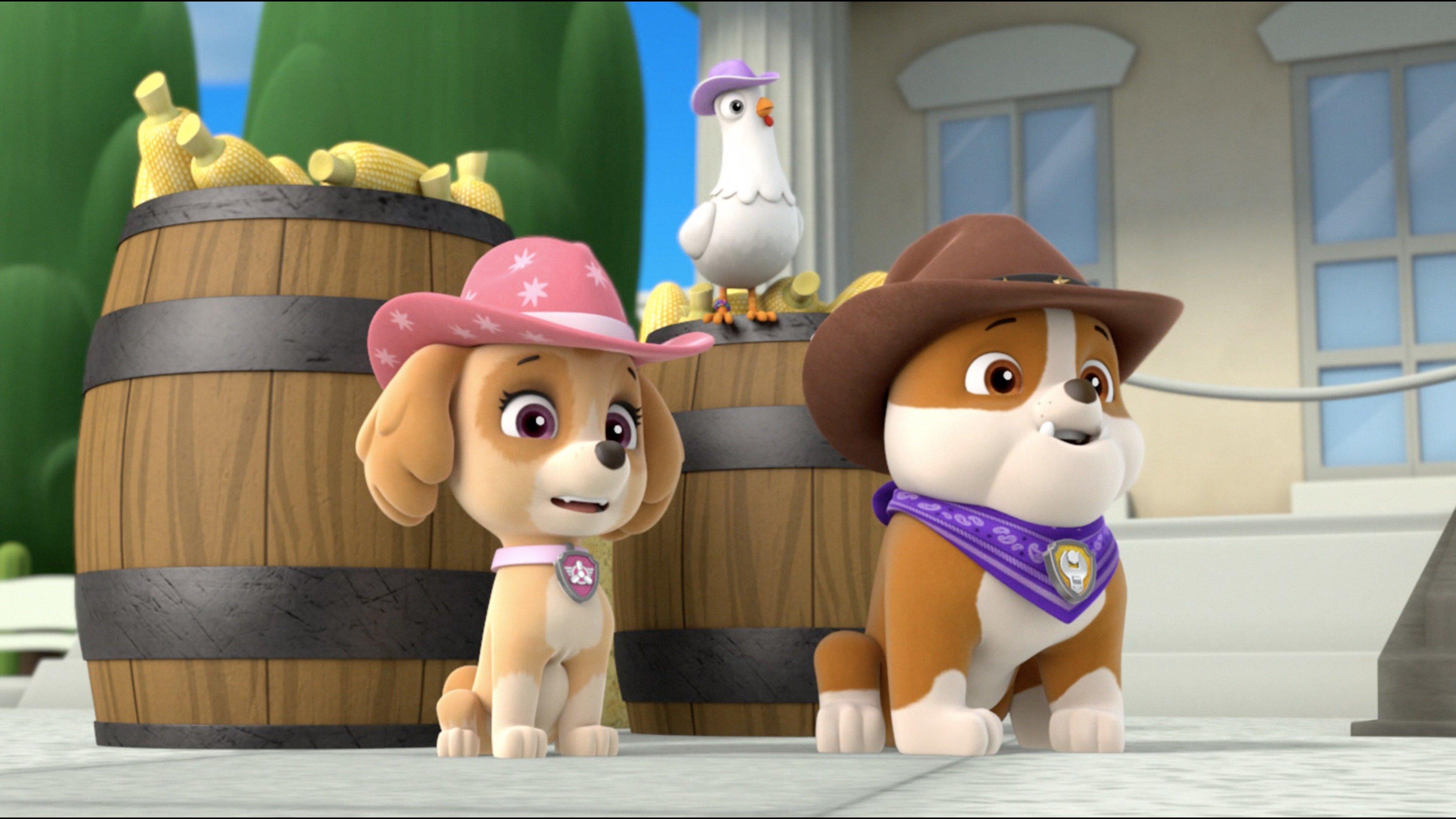 Paw Patrol: Pups Save A Hoedown; Pups Save Alex