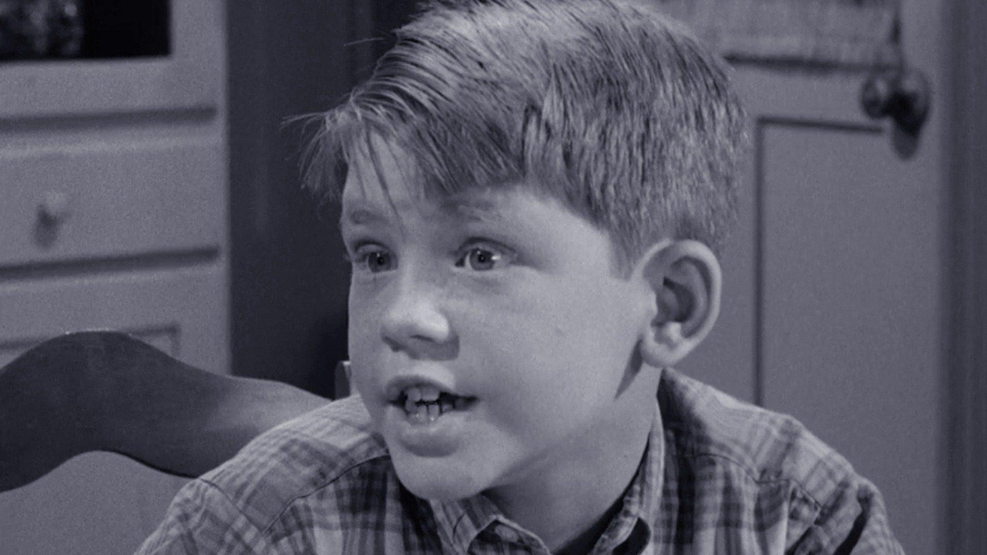 Ron Howard Opie on the Andy Griffith show
