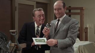 Aunt Bee Takes a Job