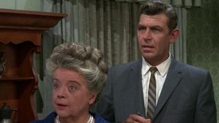 Aunt Bee's Cousin