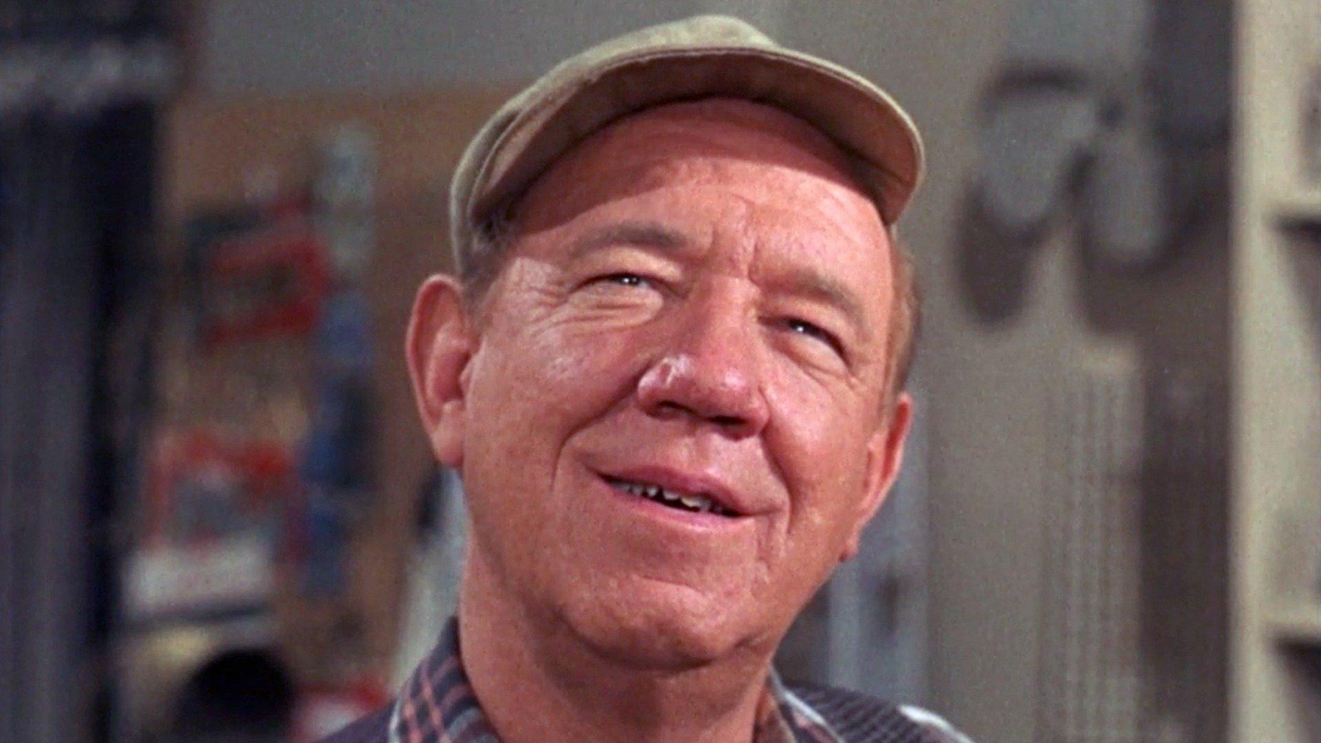 the-andy-griffith-show-sam-for-town-council