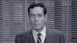 The Inspector