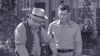 Aunt Bee's Brief Encounter