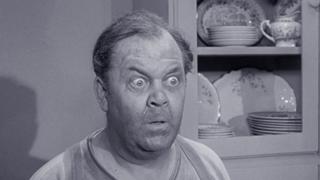 Aunt Bee the Warden