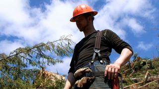 Ax Men