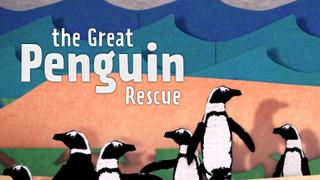 The Great Penguin Rescue