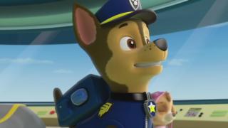 Pups Save a Super Pup; Pups Save Ryder's Robot