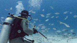 Bull Sharks/Inner Space at NASA