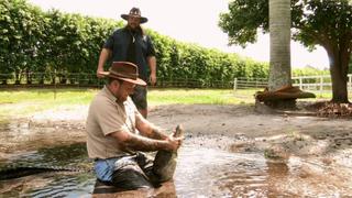 Gator Boys