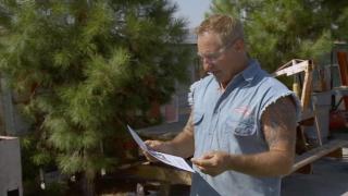 American Restoration