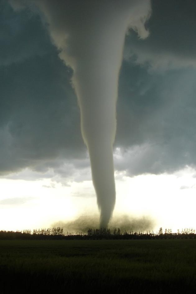 Mega Disaster: Tornado