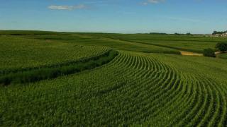 Nebraska