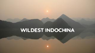 Wildest Indochina