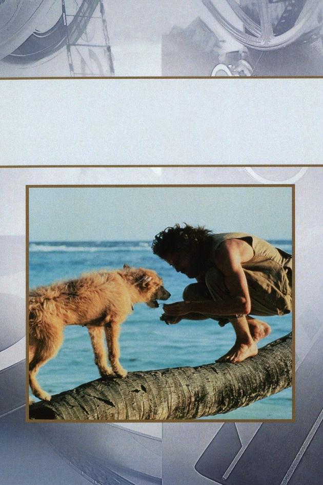 Crusoe