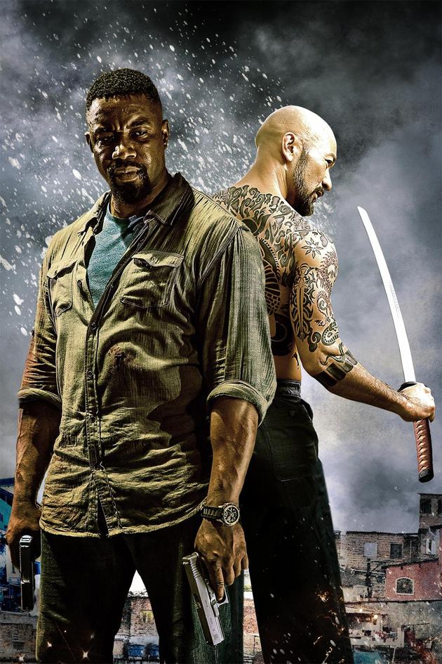 Falcon Rising