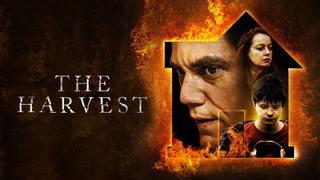 The Harvest