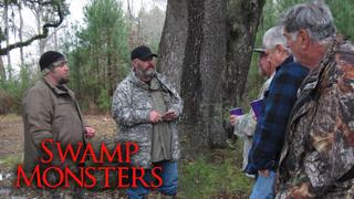 Swamp Monsters