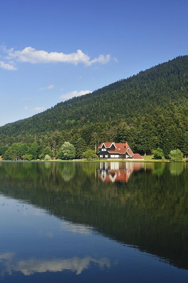 Lakefront Bargain Hunt