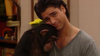 Too Much Monkey Business
