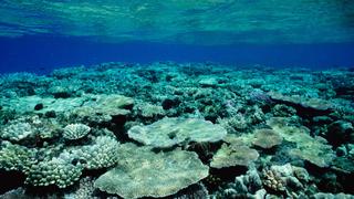 Great Barrier Reef