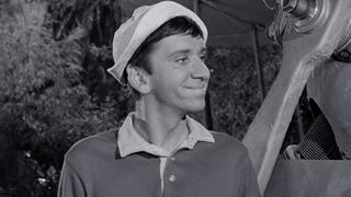 Wrongway Feldman