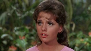 Operation: Steam Heat Operation: Steam Heat