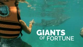 Giants of Fortune