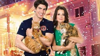 The Nine Lives of Christmas