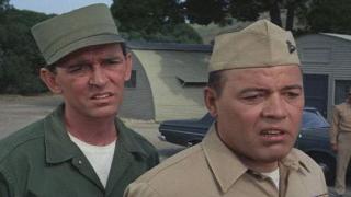 Gomer Un-trains a Dog