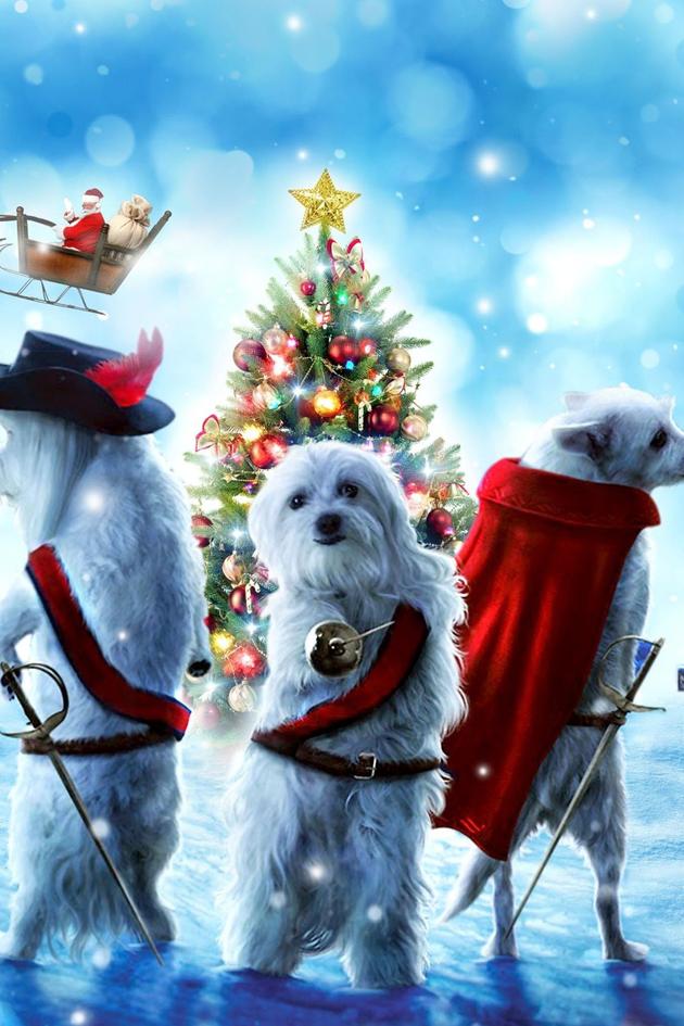 The Three Dogateers