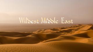Wildest Middle East