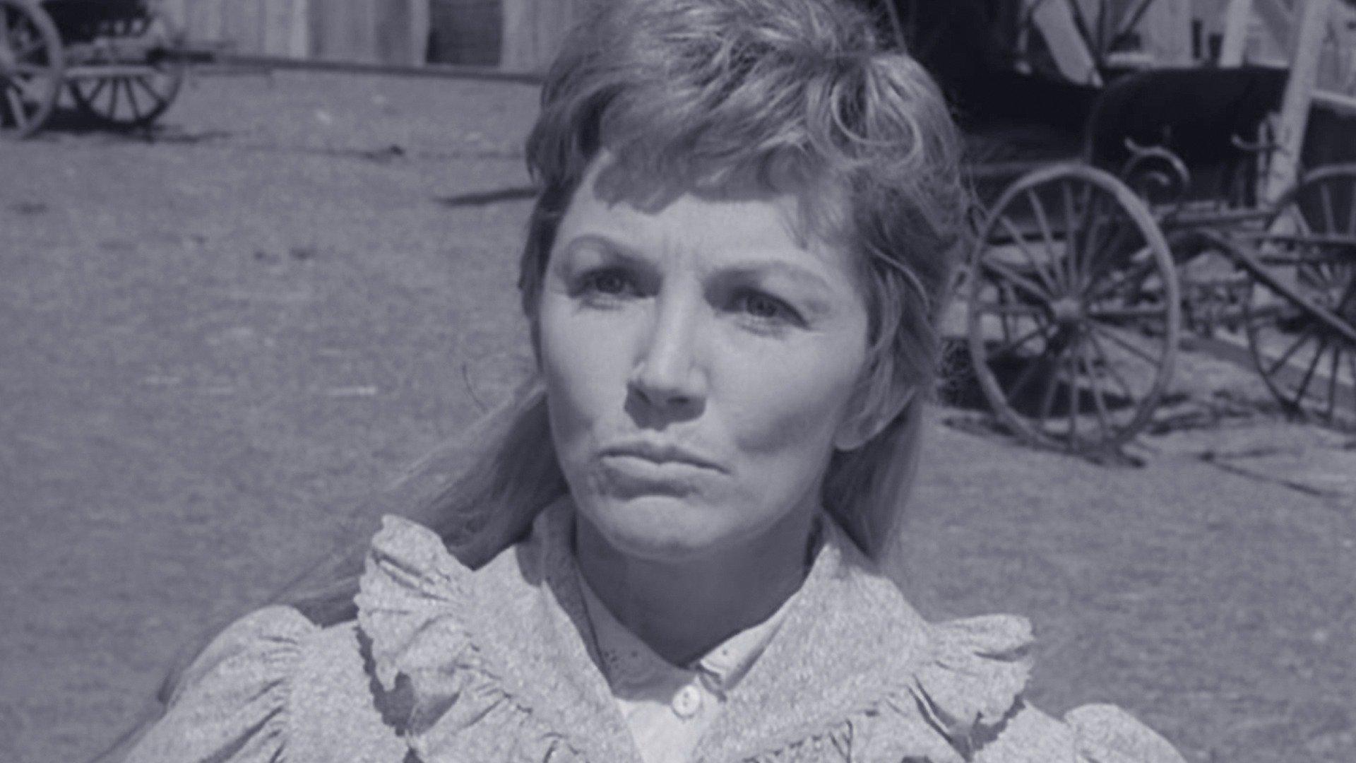 Gunsmoke: Homecoming