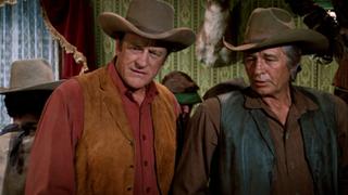 The Town Tamers