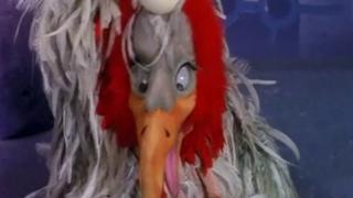 The Wheeley Bird