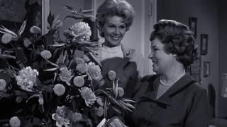Hazel's Secret Wish