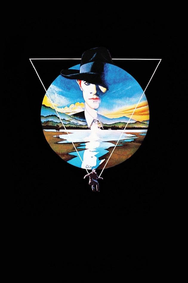 The Man Who Fell to Earth