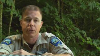 The Thin Green Line