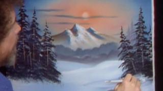 Winter Evergreens
