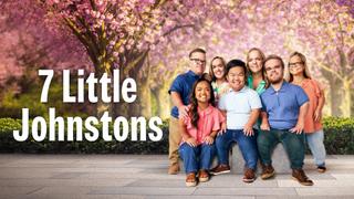 7 Little Johnstons