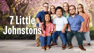 7 Little Johnstons