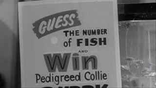 The Big Fish Count