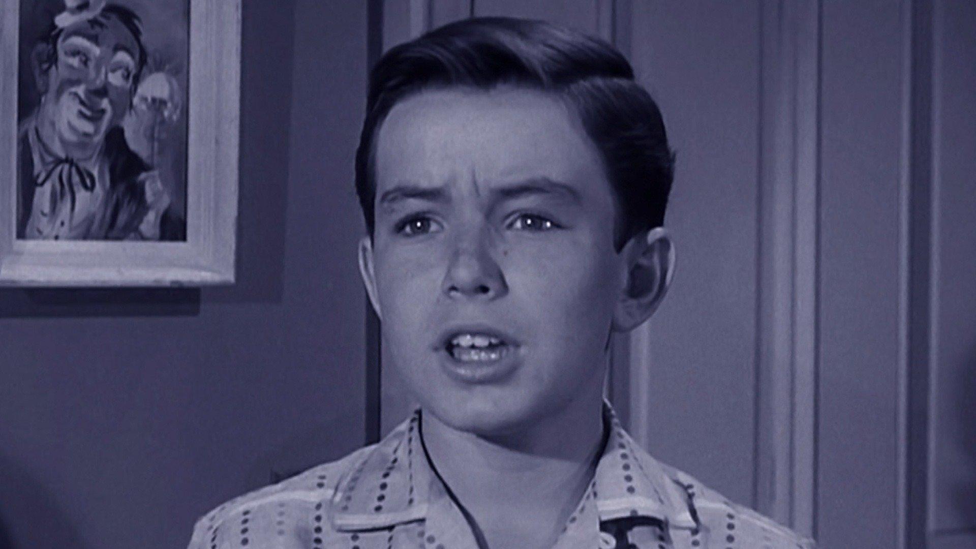 Leave It to Beaver: Beaver's Birthday - Leave It To Beaver Season 1 Episode 1